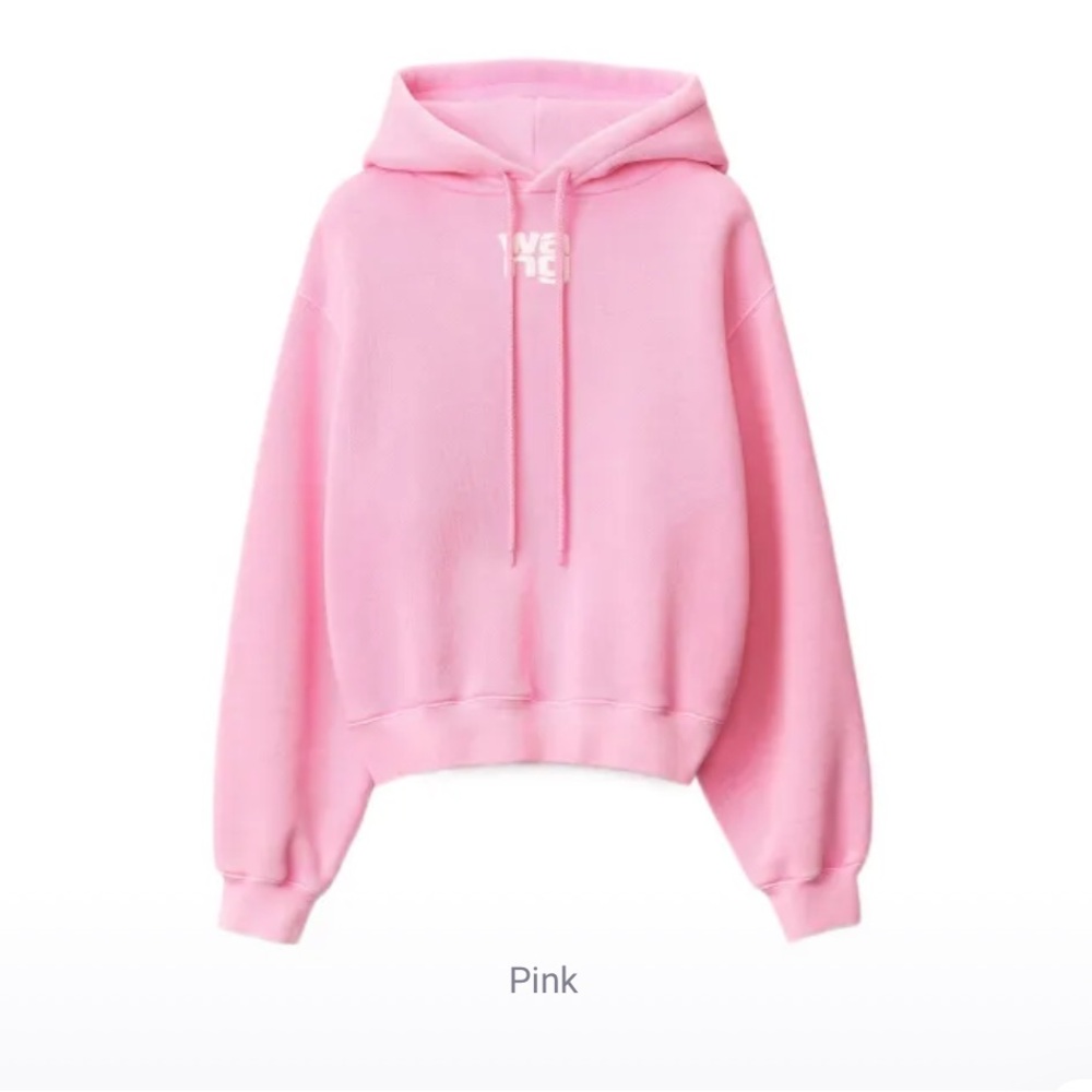 Alexander Wang Sweatshirt